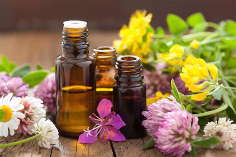 Ayurveda and The Elemental Qualities of Essential Oils - California College of Ayurveda