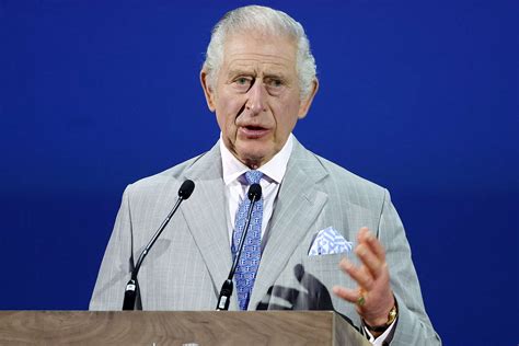 King Charles Urges Climate Action on Behalf of His Grandchildren