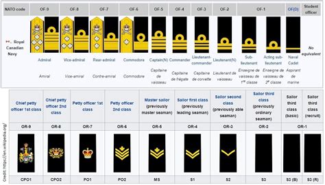 Navy Officer Ranks