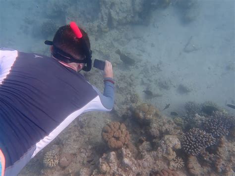 Snorkeling at Coral Beach Nature Reserve, Eilat | Snorkeling in Israel