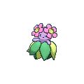 PokeBay - Pokedex: #182 - Bellossom