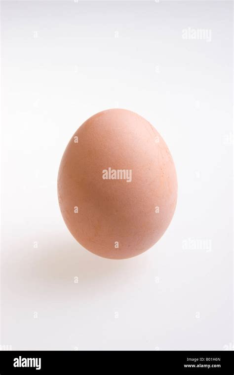 Free range egg Stock Photo - Alamy