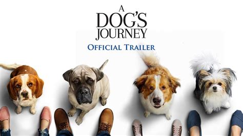 A Dog’s Journey - Official Trailer | English Movie News - Hollywood - Times of India