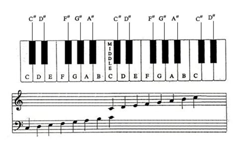 Task 2: Piano Notes