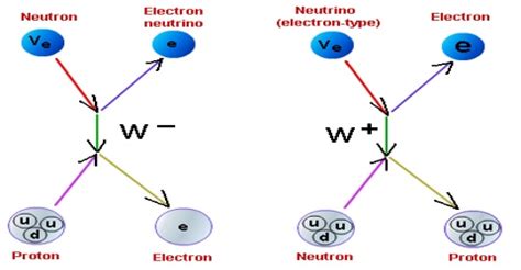 Weak Nuclear Force Examples