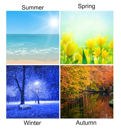 4-Season Color Theory is where everything begins.