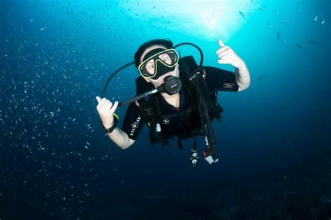 The Ultimate Guide to Diving in Roatan, Honduras. | The Very Hungry Mermaid