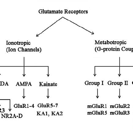 Schematic representation the different families and subtypes of... | Download Scientific Diagram