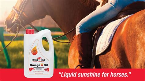 Omega Oil for Horses | Omega 3 Oil For A Healthy Equine Diet