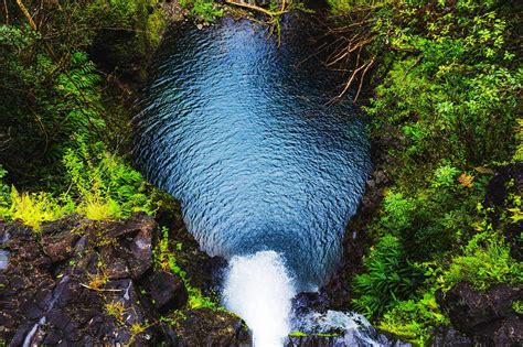 10 Best Hiking Trails in Oahu - Take a Walk Around Oahu’s Most ...