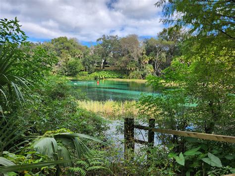 Beautiful View Of Rainbow Springs State Park - Ocala-News.com