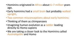 Human evolution | PPT | Free download