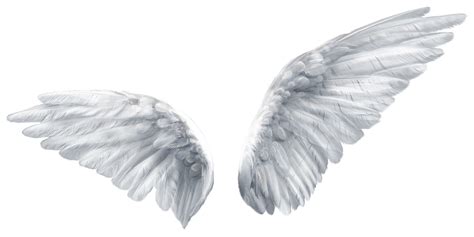 Vector Transparent Background Wings Png - canvas-tools