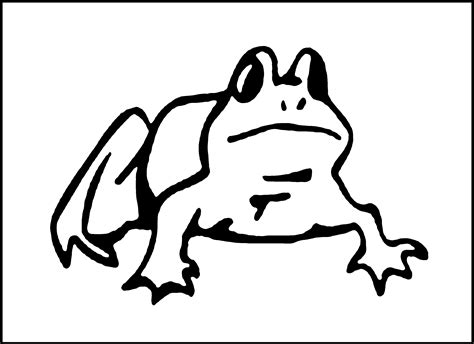 Free Printable Frog Coloring Pages For Kids