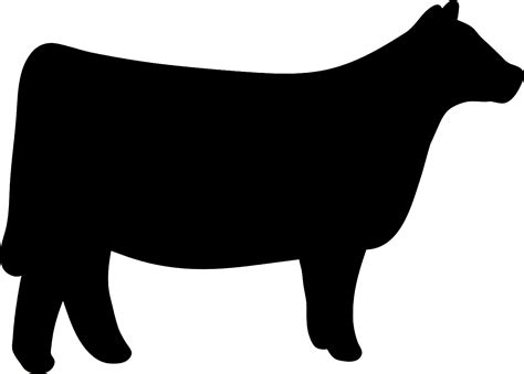 Cow clipart heifer #9 | Cow clipart, Show cows, Showing livestock