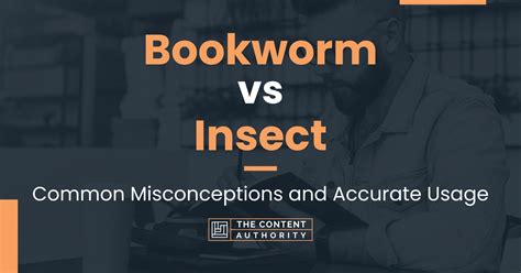 Bookworm vs Insect: Common Misconceptions and Accurate Usage