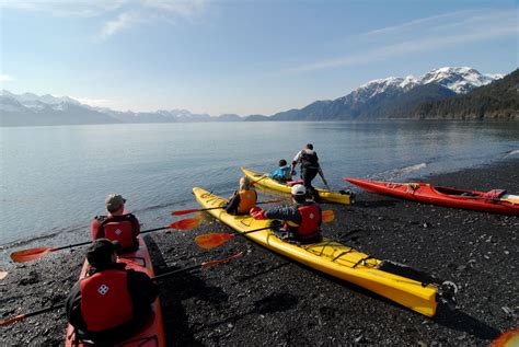 Half-Day Sea Kayaking Tours, Seward, Alaska |sunnycove.com | Kayak adventures, Alaska travel ...