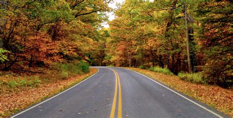 Fall Foliage in Virginia: The Best Places for Peak Foliage [Map]