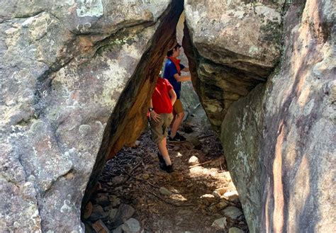 Have You Discovered the Gosford Glyphs? Here's a Bushwalk with a Mystery! - Central Coast ...