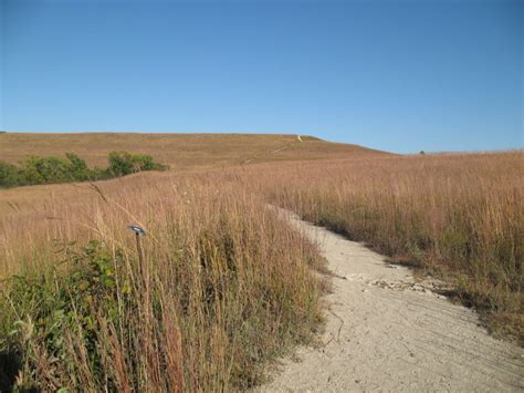 Grasslands in US Great Plains are being destroyed at “alarming rate”