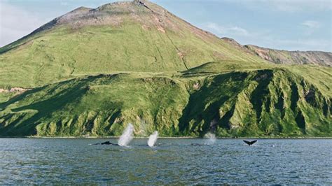 Aleutian Islands in Alaska | Travel Alaska