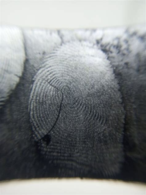 Fingerprints Found at the Crime Scene Stock Photo - Image of found ...