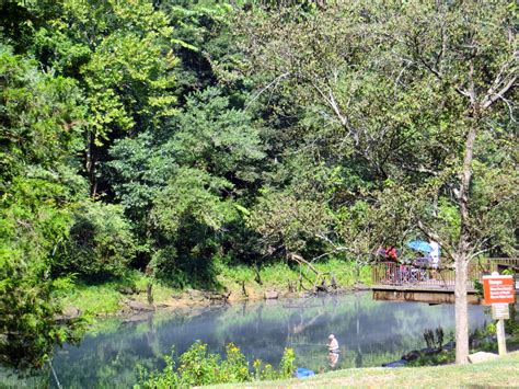 Tales From The Camping House: Greers Ferry Dam - Heber Springs, Arkansas