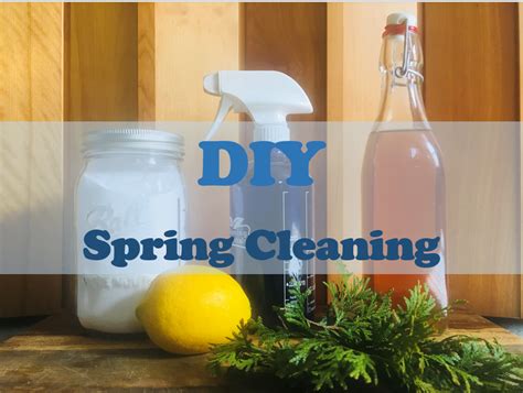 DIY Spring Cleaning- Digital download