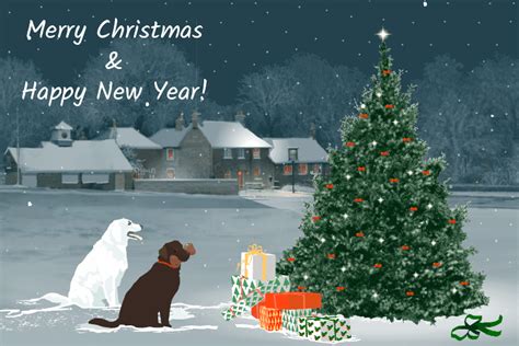 Dogs By Christmas Tree - Merry Christmas & Happy New Year! Pictures, Photos, and Images for ...
