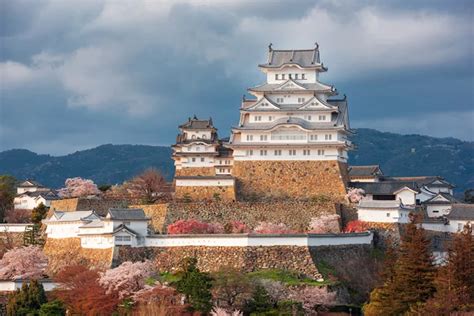 Hyogo: 12 Top-Rated Things to do in Hyogo - Junket Japan