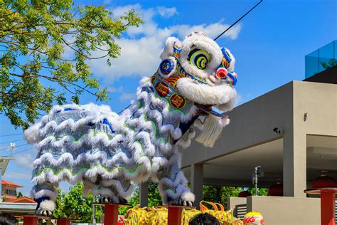 Lunar New Year Traditions From Around the World, Across the Asian Diaspora