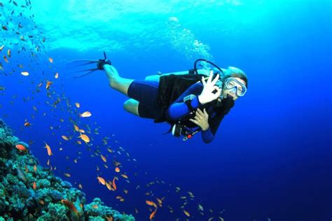 7 Places for Scuba Diving in Andaman and Nicobar by Swan Tours