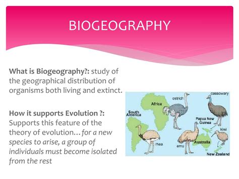 PPT - Evidence for Evolution PowerPoint Presentation, free download - ID:2489006