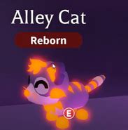 Alley Cat | Adopt Me! Wiki | Fandom