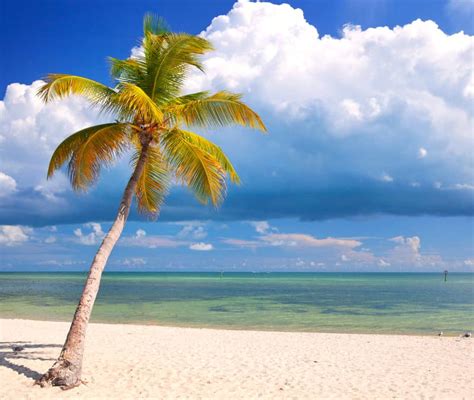 Best Florida Keys beaches; even some you don't know | Florida Rambler