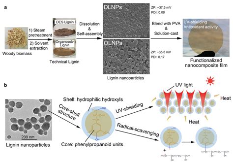 Nanomaterials | Free Full-Text | Lignin Nanoparticles and Their ...