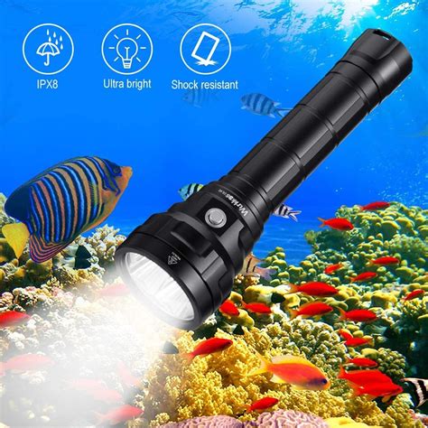 Best Dive Light Review Guide For 2021-2022 - Report Outdoors