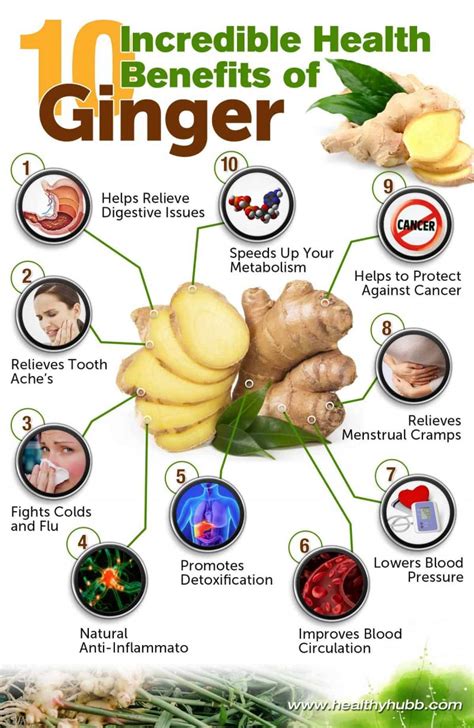 A Wonder Plant Called Ginger: 10 Extraordinary Health Benefits - Infographic