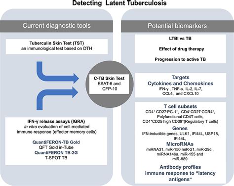 Latent Tuberculosis Contagious