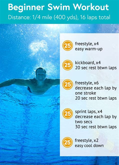 3 Swimming Workouts for Every Skill Level - Life by Daily Burn ...