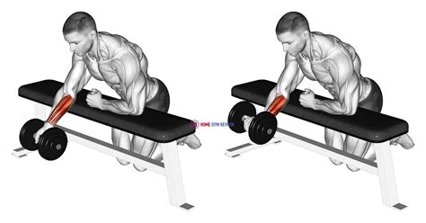 Dumbbell Over Bench One Arm Reverse Wrist Curl - Home Gym Review