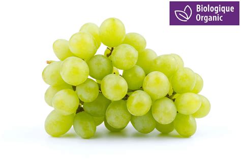 Organic Green Grapes | Walmart Canada