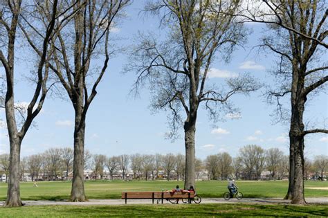 Marine Park Images : NYC Parks