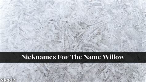 Nicknames For Willow | 65+ Funny Cute Nicknames For Name Willow | NickFy