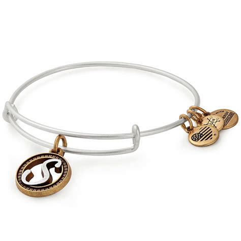 Alex and Ani Initial S Two-Tone Charm Bangle Bracelet - Rafaelian Gold ...