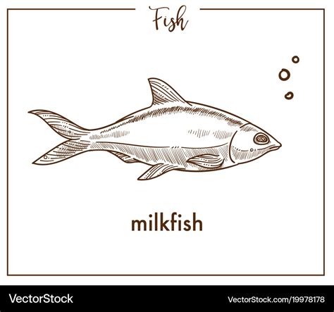 Milkfish sketch fish icon of chanos Royalty Free Vector