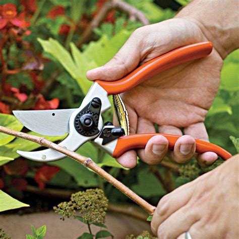 Gardening Tools | Professional-Grade Tools for Your Garden