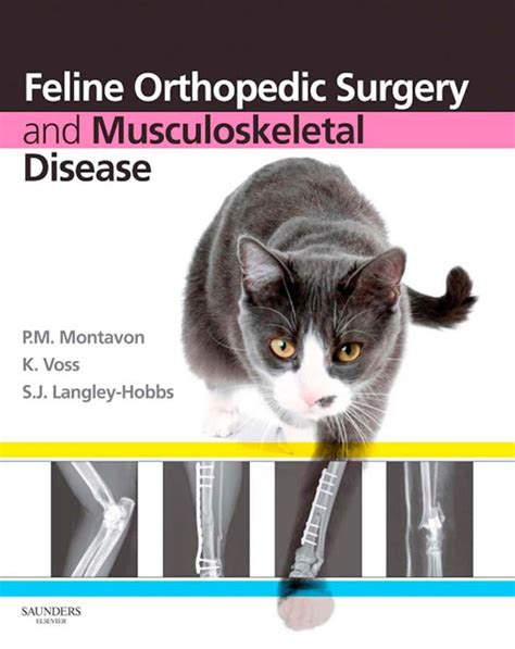 Feline Orthopedic Surgery and Musculoskeletal Disease | VetBooks