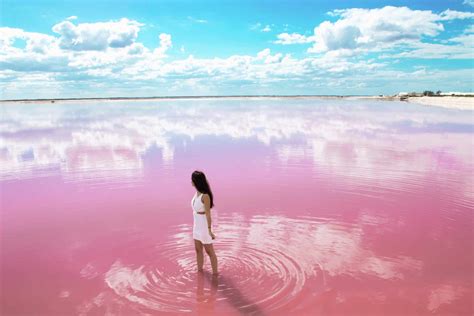 Las Coloradas: The Wonderful Pink Lakes of Mexico - G+T