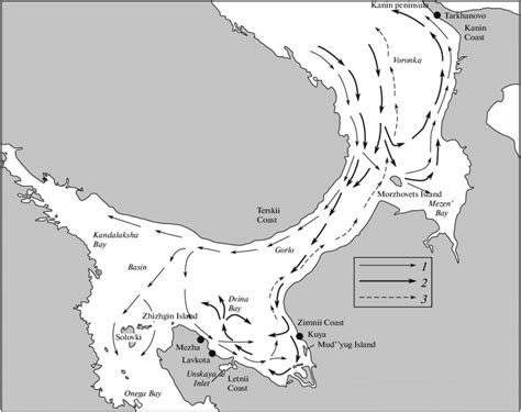 Migration vectors of the beluga whale in the White Sea: 1, May-June; 2,... | Download Scientific ...